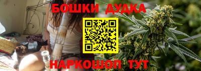 индика Гудермес