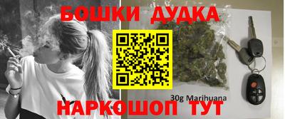 индика Гудермес