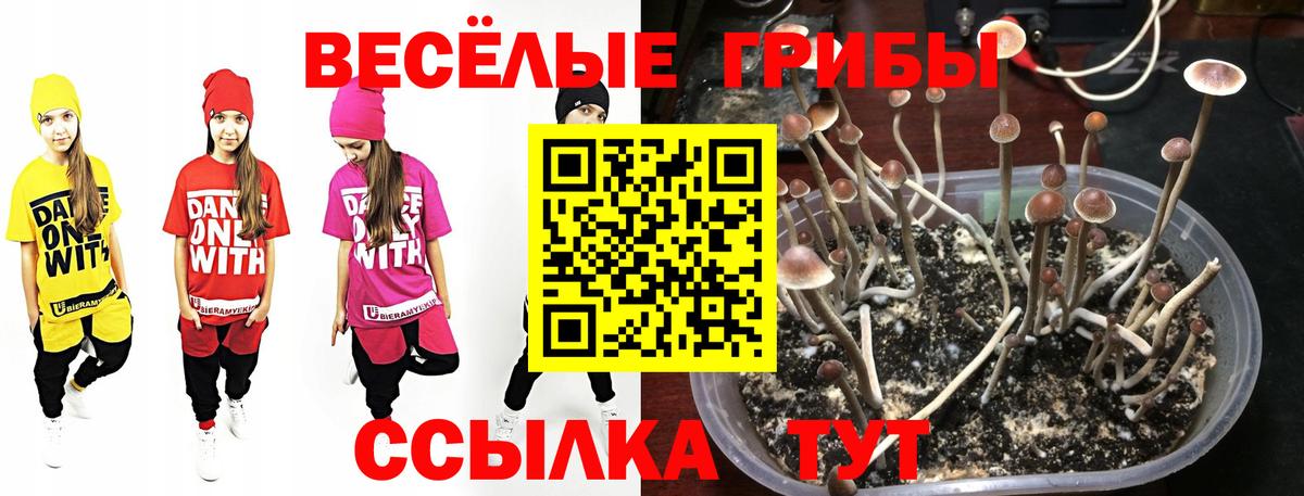 Псилоцибиновые грибы Psilocybine cubensis  Вход с VPN  Волжск 
