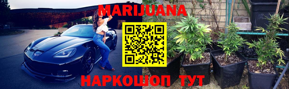 Конопля план Волжск